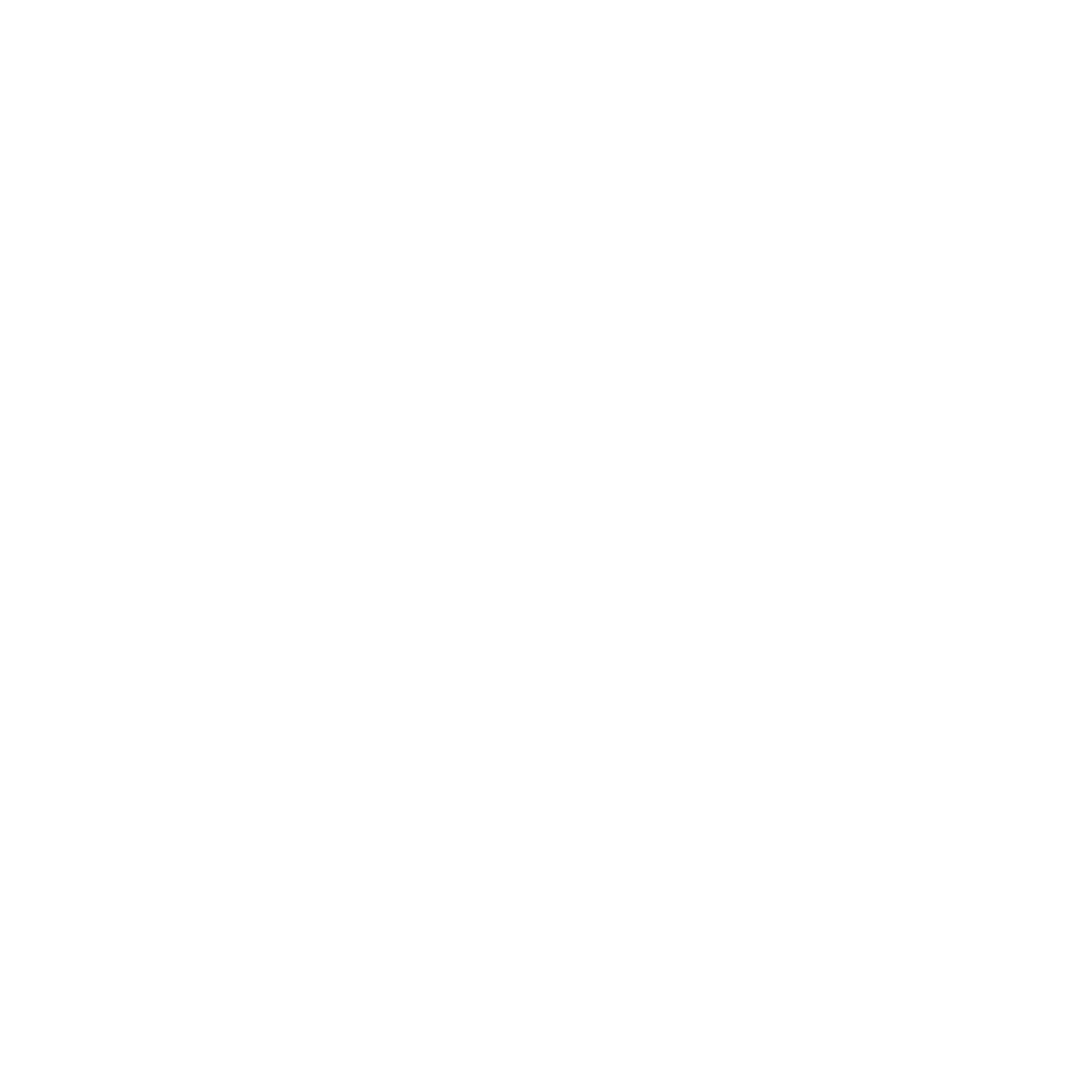 ACP Icon | Weltkugel