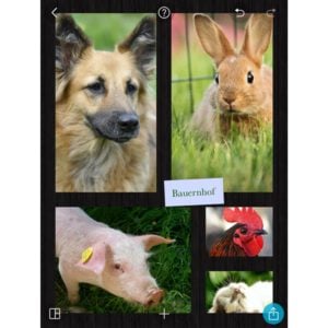 Sachunterricht, Tiere am Bauernhof mit PicCollage