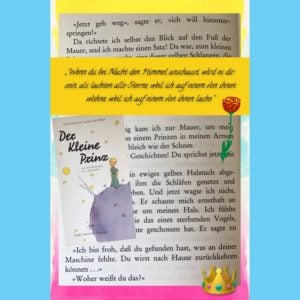 Book Snaps mit Book Creator am EDU-iPad