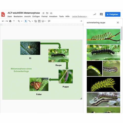 Prozessvisualisierung Metamorphose