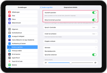eduWERK-Blog_iPad-Funktionen-Sprachbarrieren-Vorlesefunktion